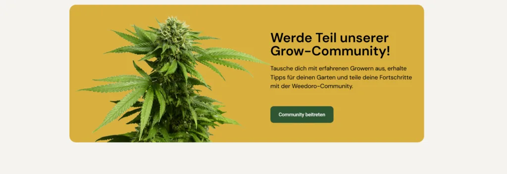 Screenshot of Weedoro
